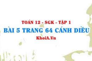 Bài 5 trang 64 Toán 12 tập 1 Cánh Diều